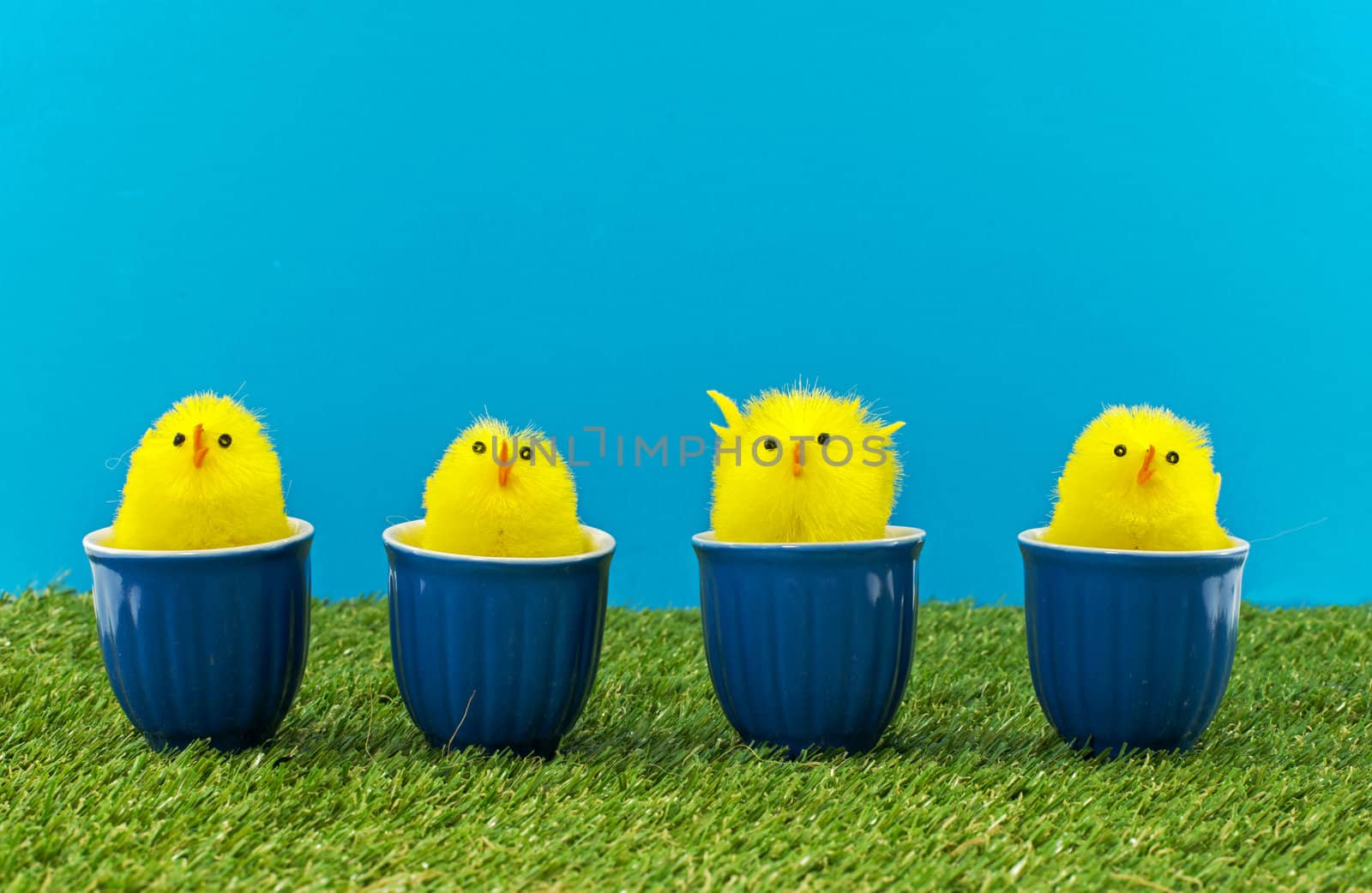 easter ducks in blue cups on green grass