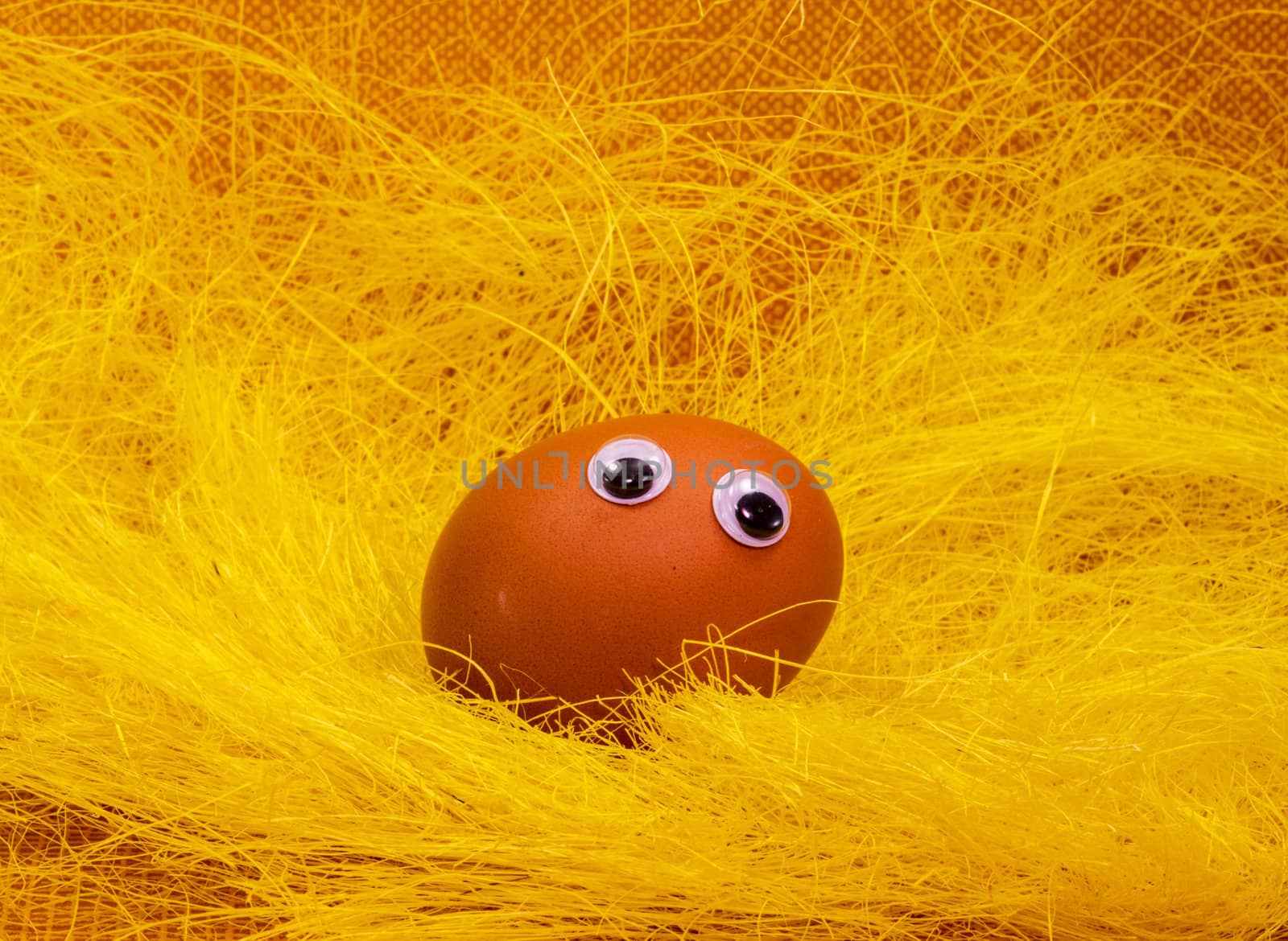 easter egg with eyes on yellow and brown backgroud