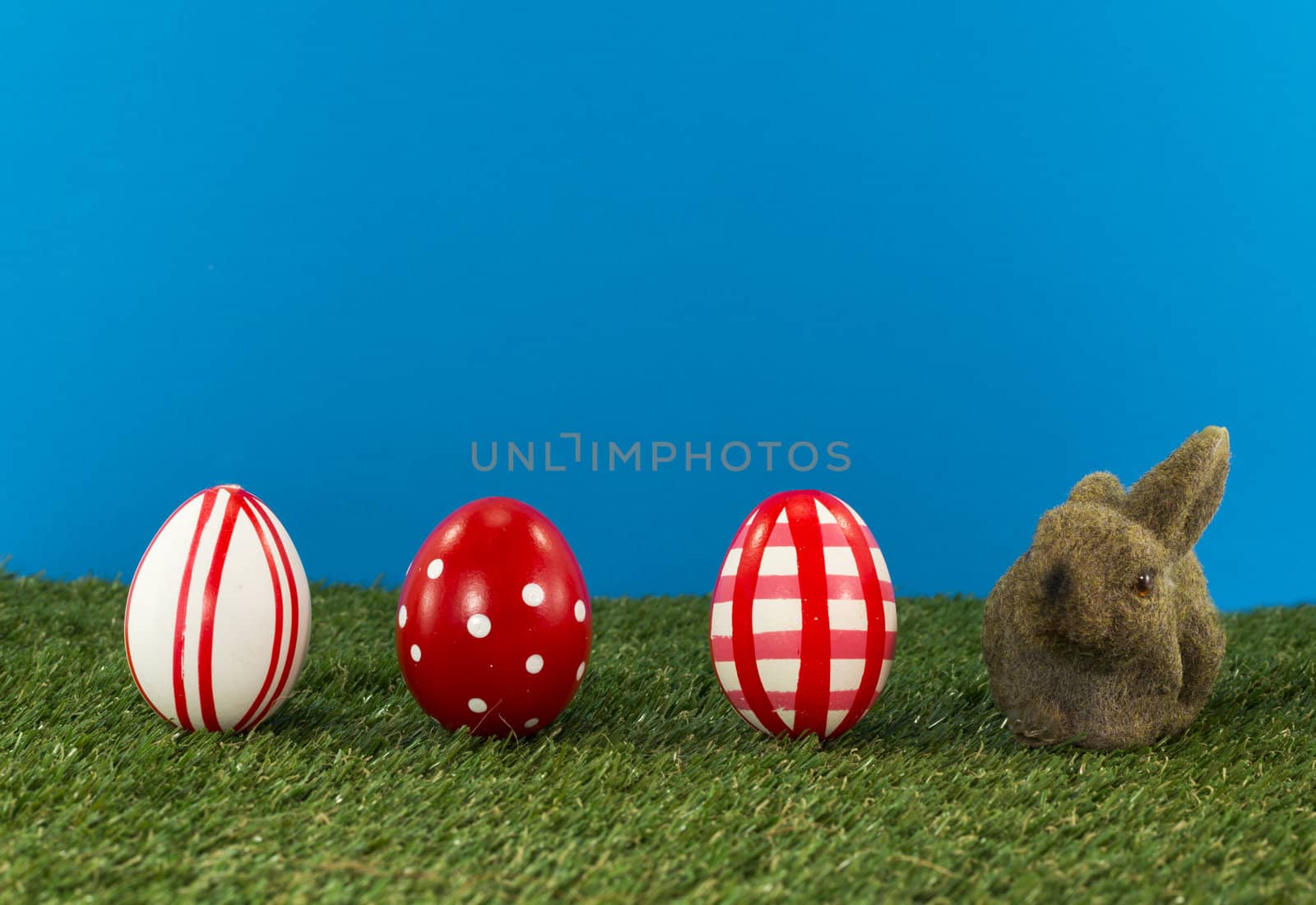 easter eggs and bunny on green grass with blue background