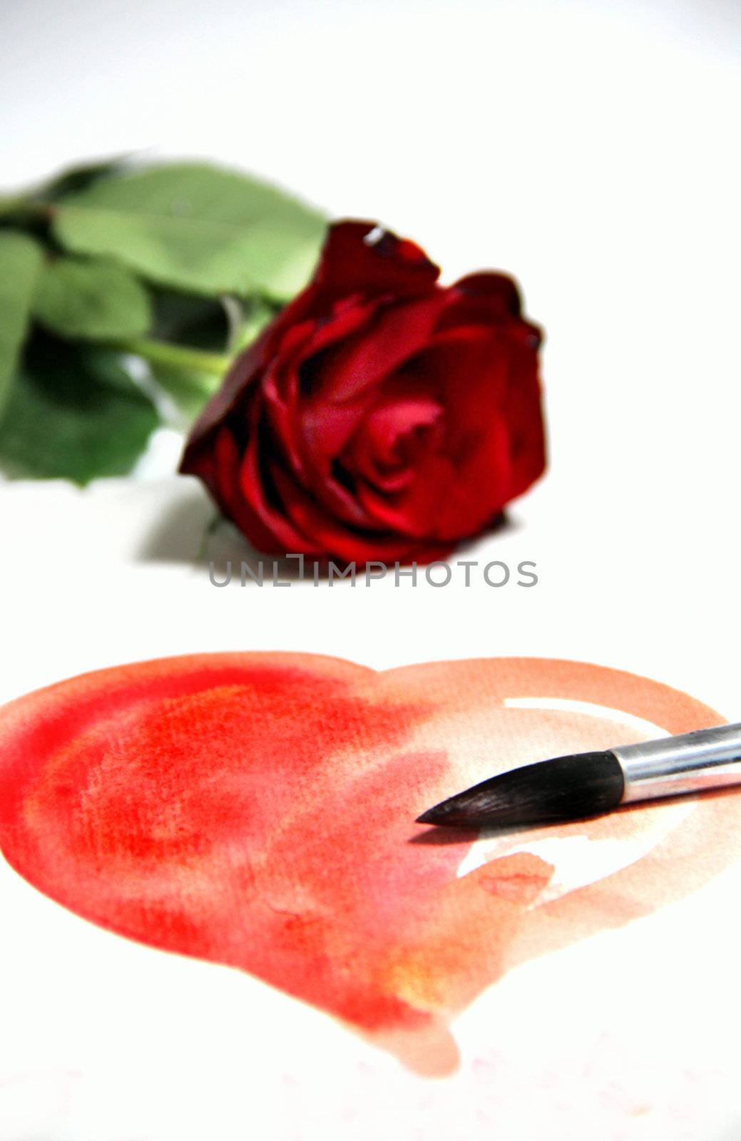 Painted Valentine heart and beautiful rose by tanouchka