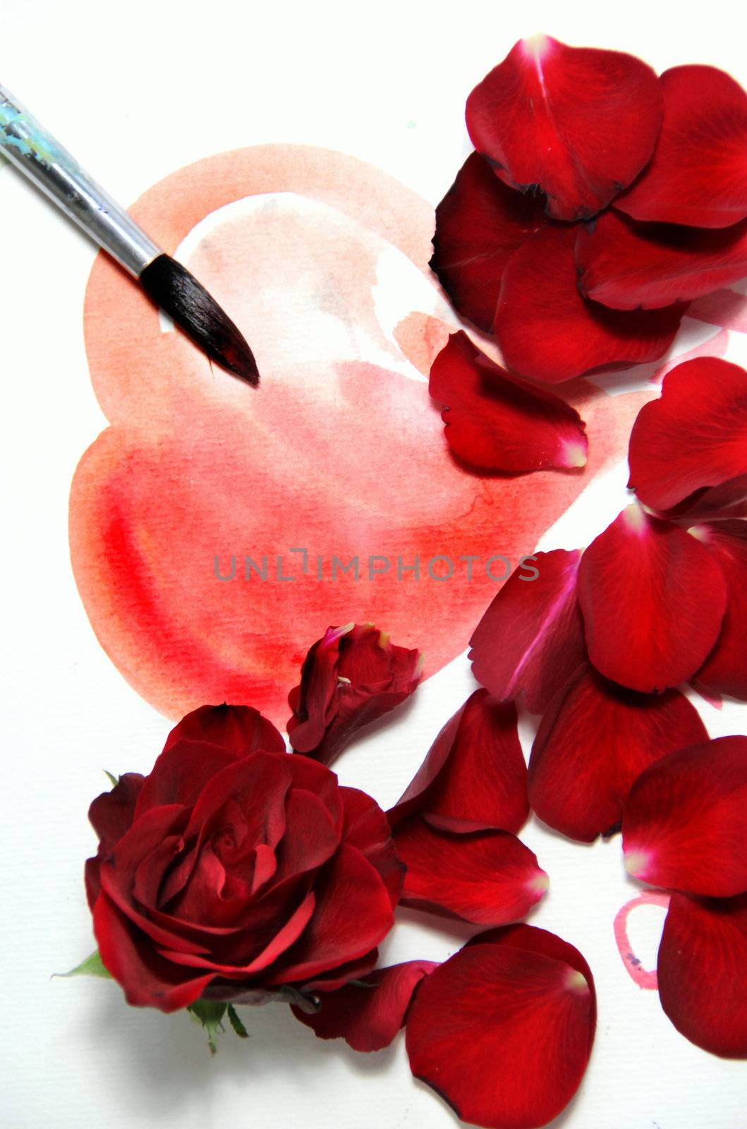 Painted Valentine heart and beautiful rose by tanouchka