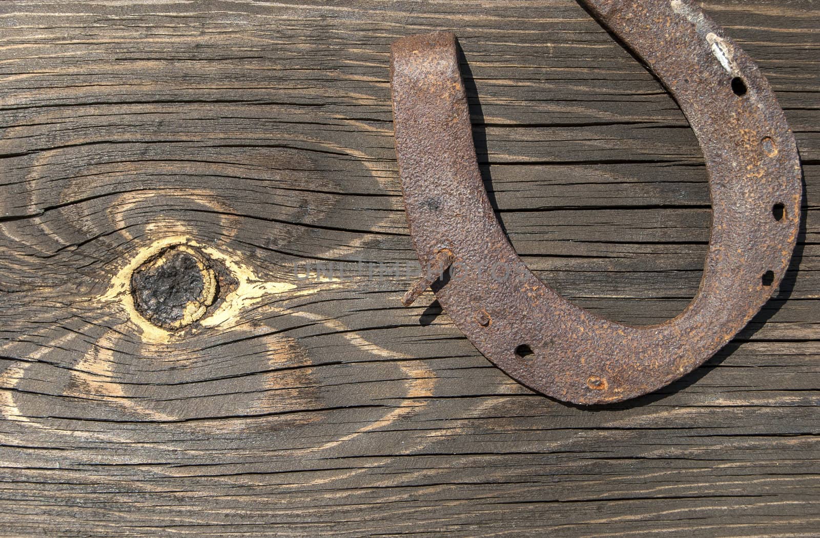 Old weathered wooden board with knurl and rusty horseshoe
