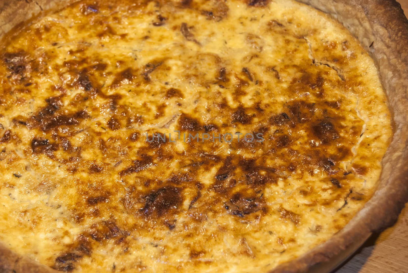 Homemade quiche pie with eggs, cheese,onion closeup