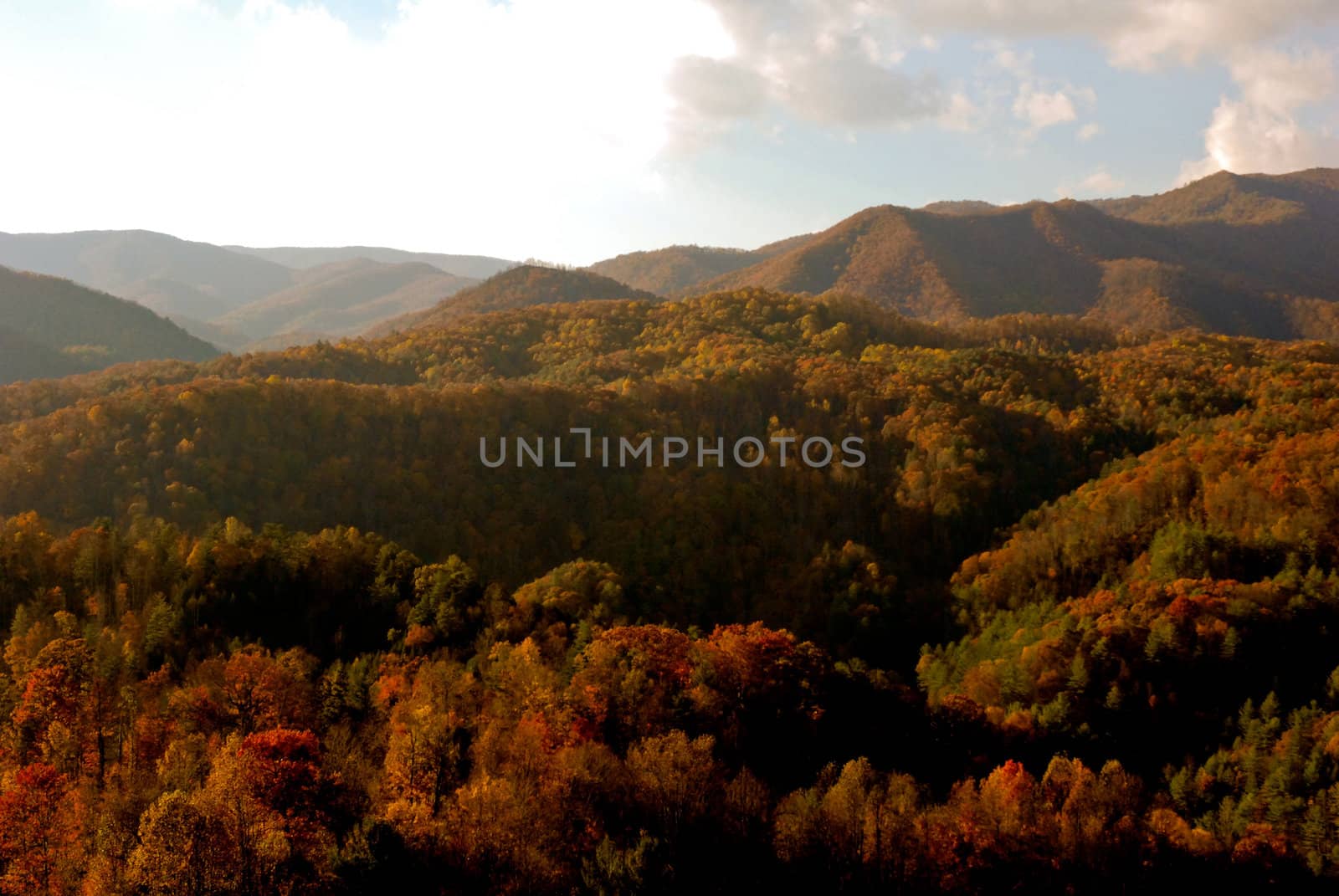 Asheville in the fall