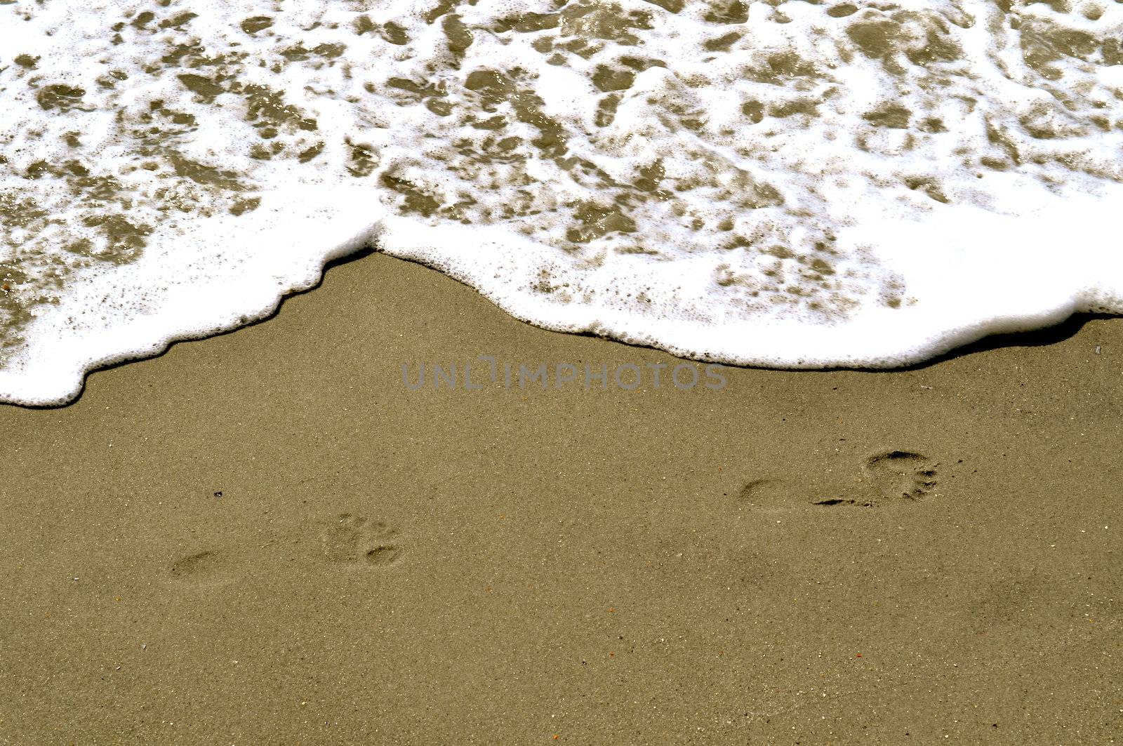 Footsteps In The Sand