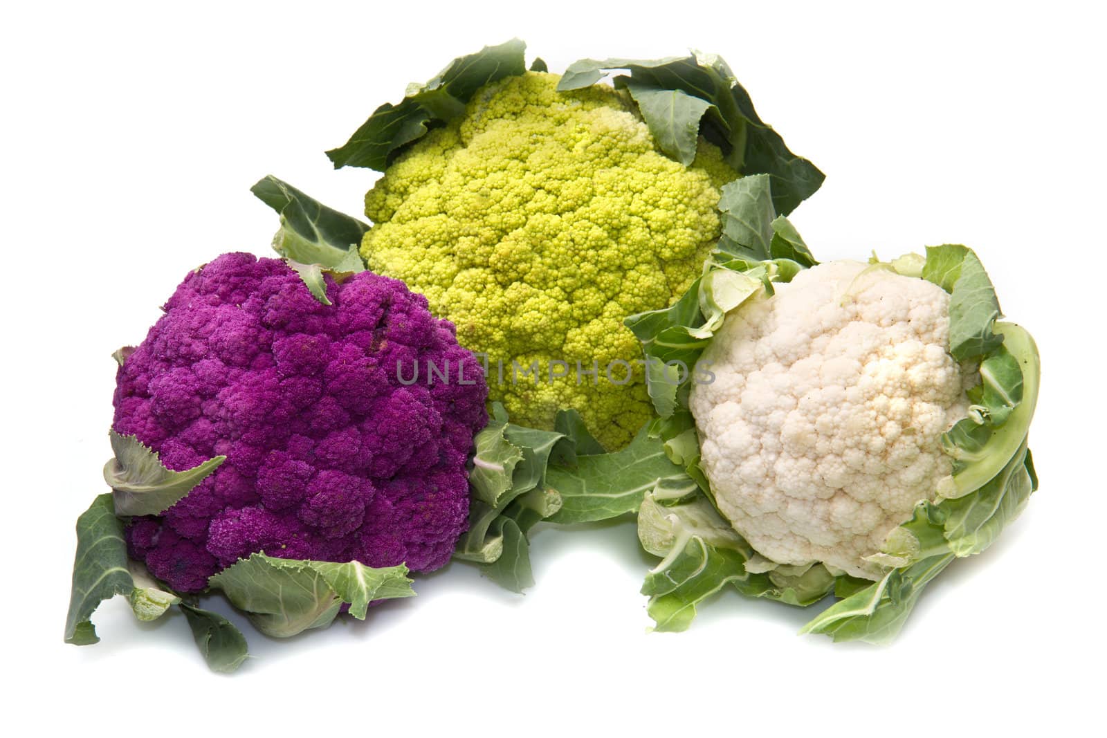tris of Fresh cauliflower on white background by lsantilli
