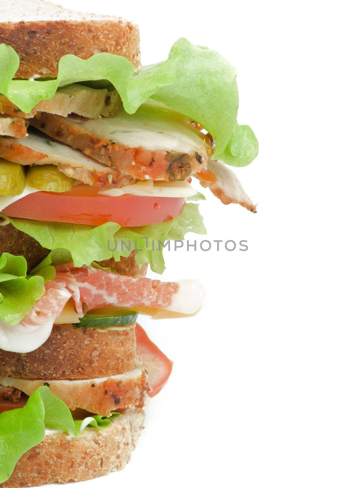 Tasty Turkey Meat Sandwich with  Cheese, Tomato, Bacon, Marinated  Gherkins and Lettuce on Whole Wheat Bread isolated on white background