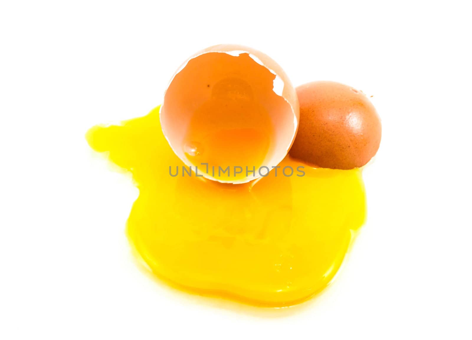 egg