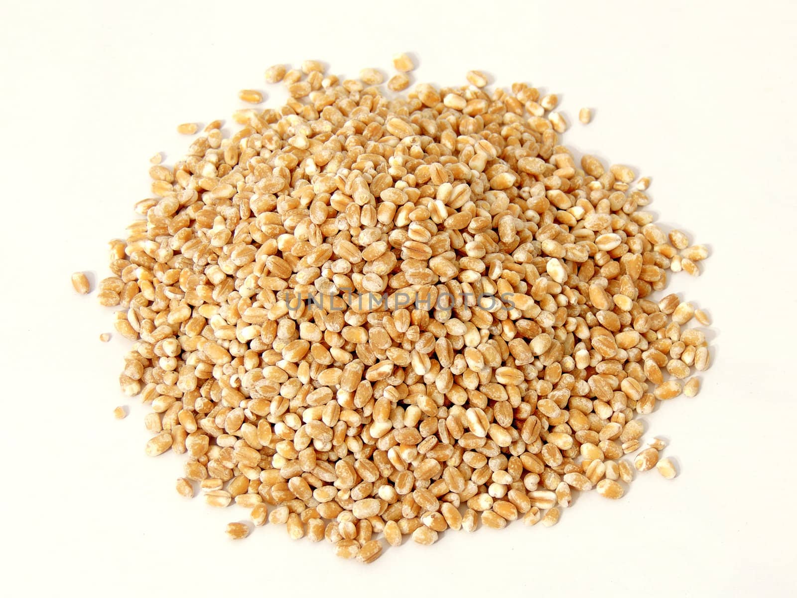 barley