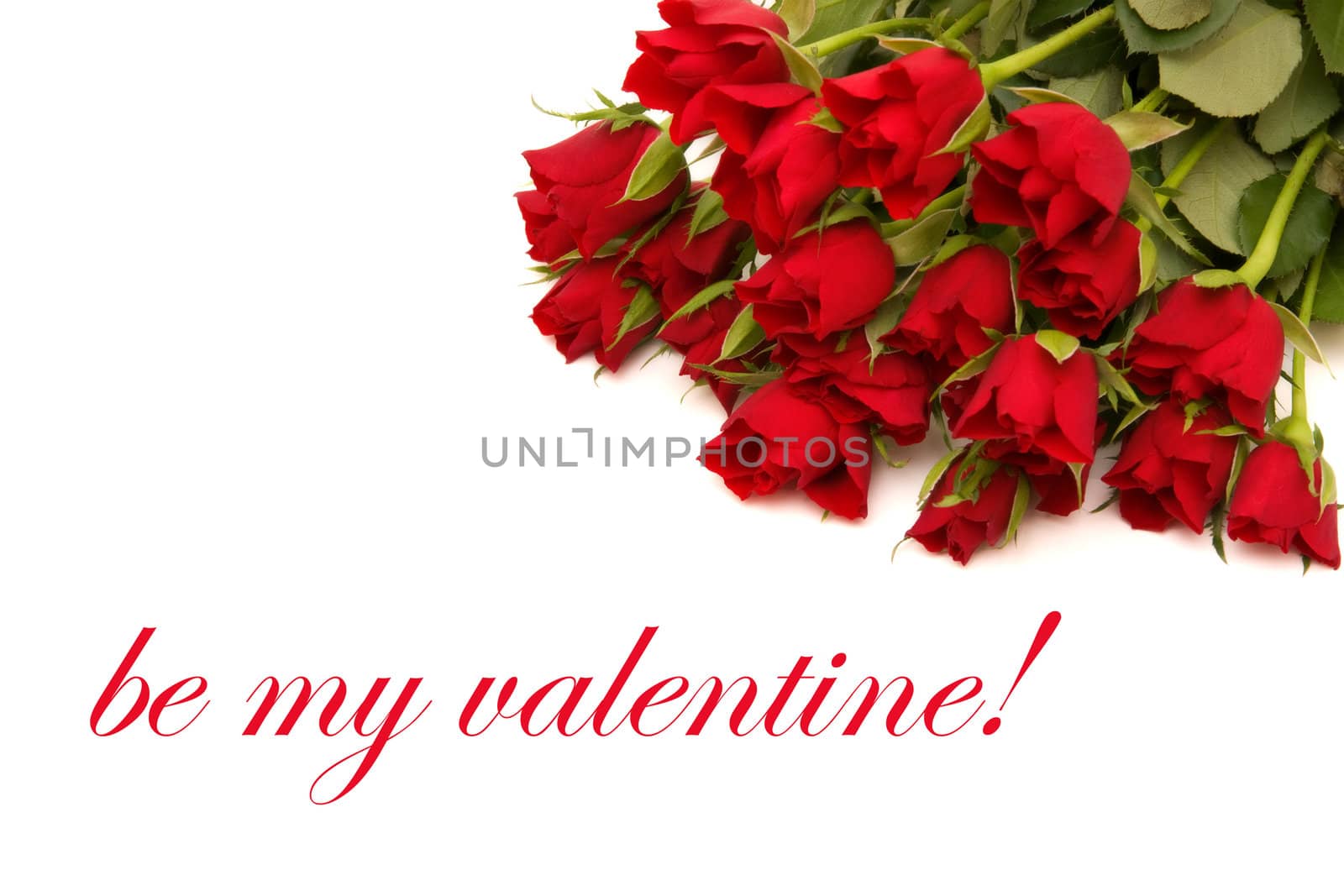 red roses withe the message be my valentine isolated on white background