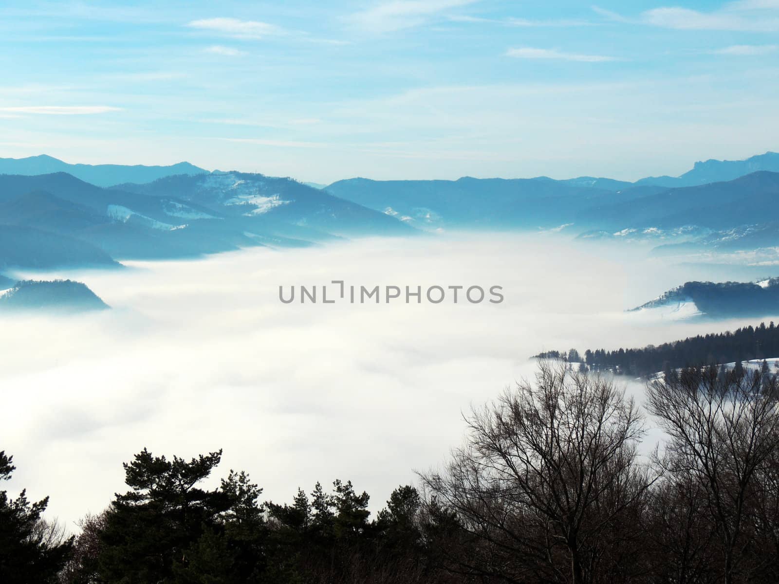 fog in fog in mountains