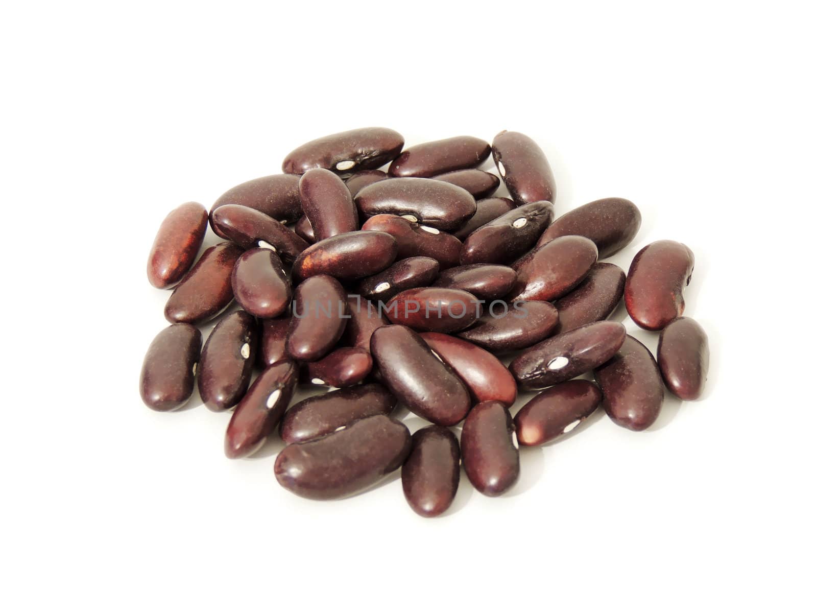 kidney bean