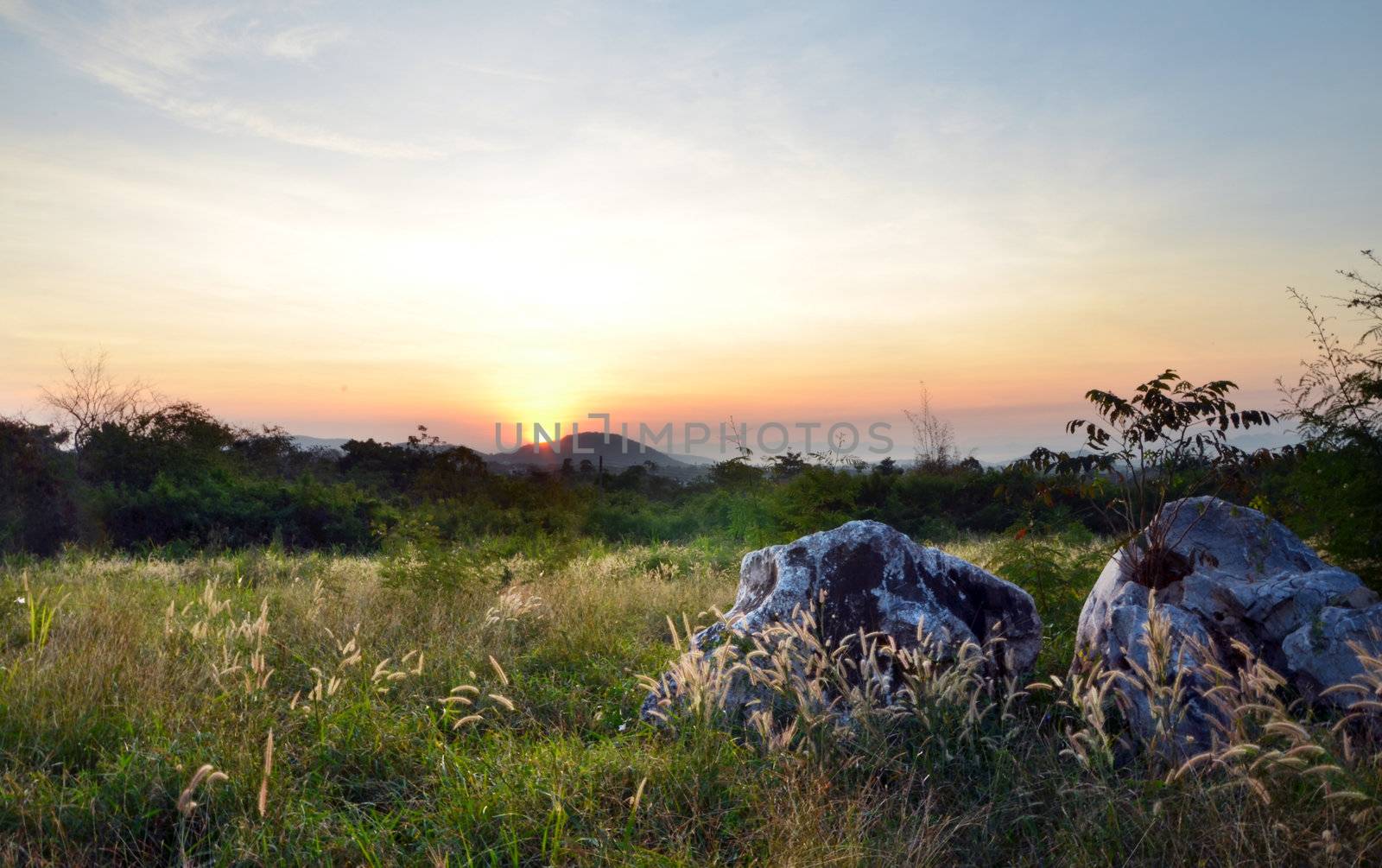 Sunrise in green rural field  by siraanamwong