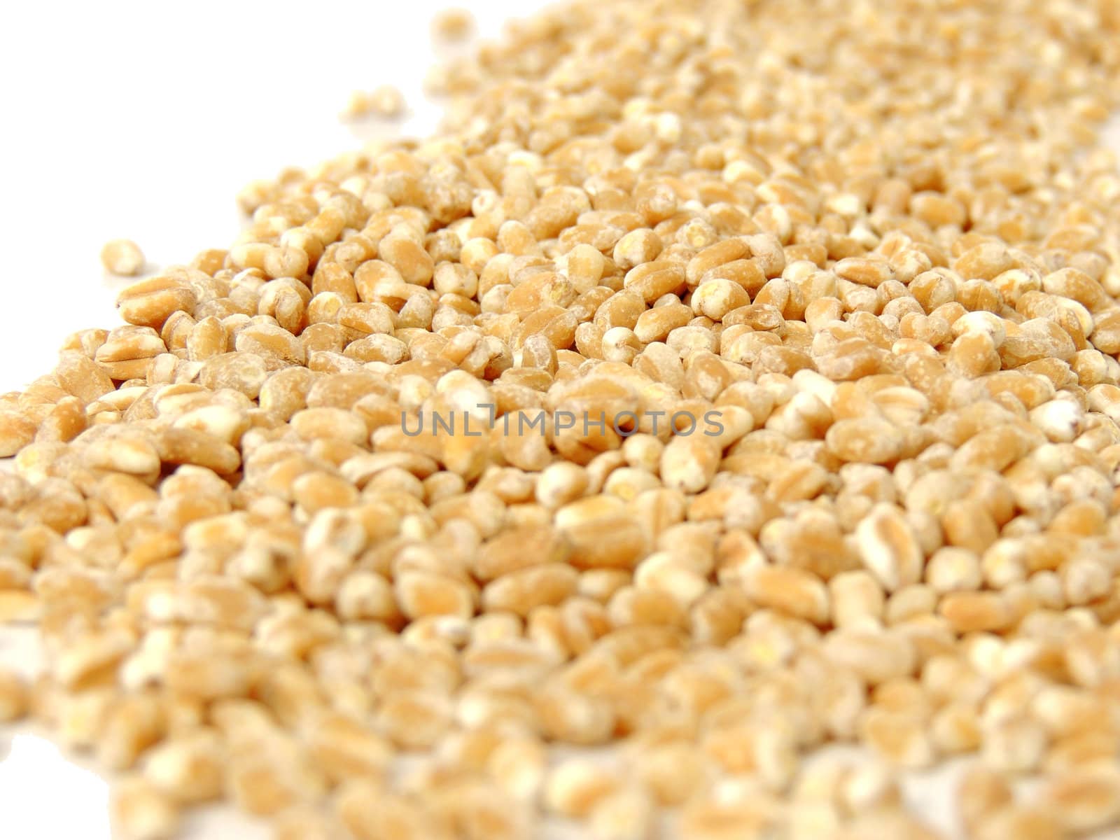 Pearl Barley