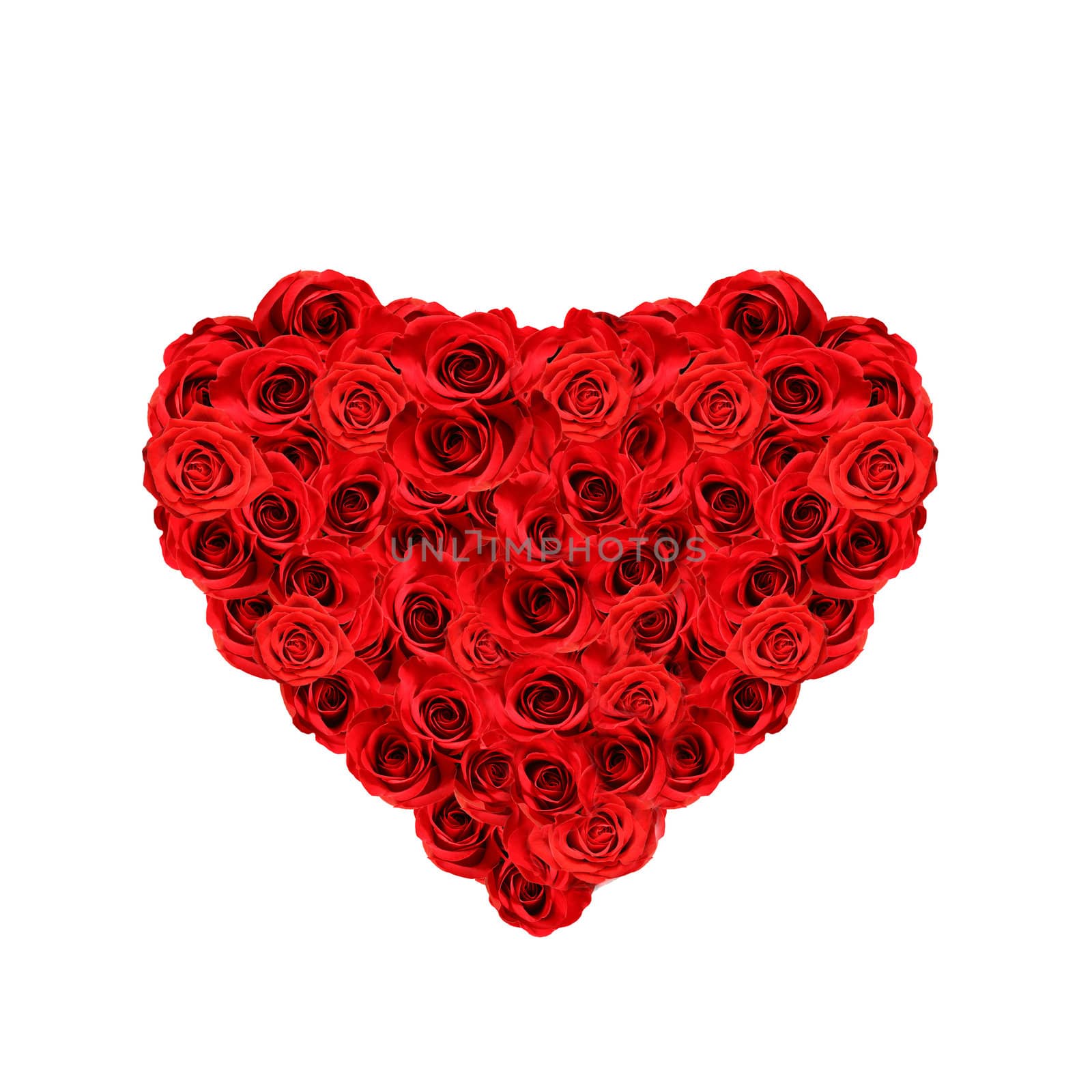 valentine's day heart made from red roses isolated on white background