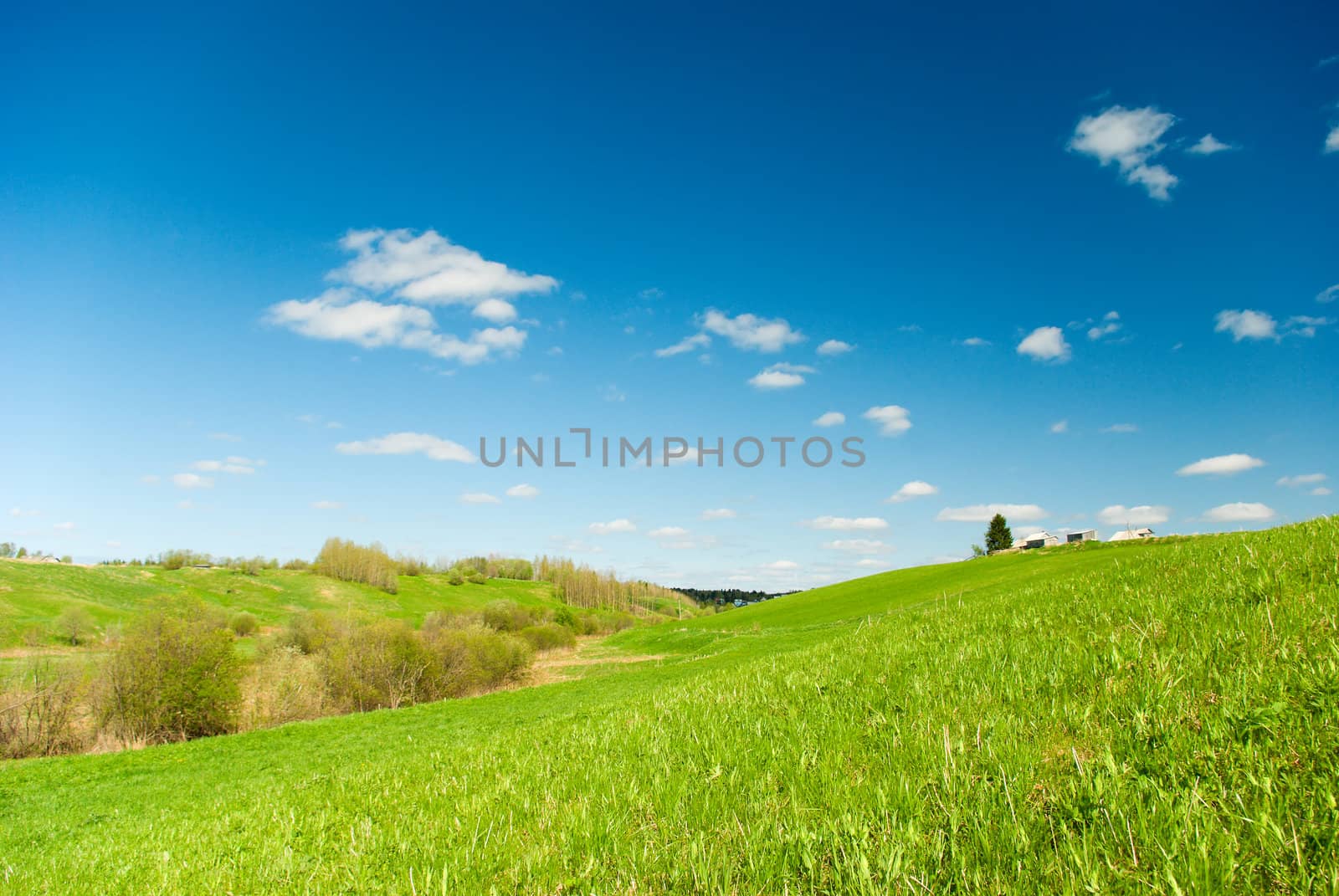 Scenic picture of a meadow with impressive sky at the background