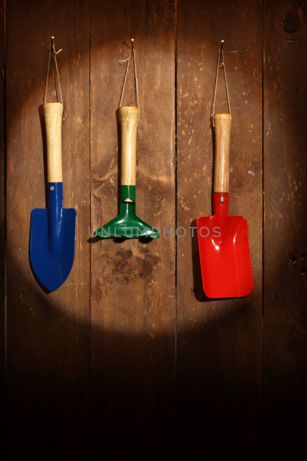 Set of gardening tools on wooden background and spot