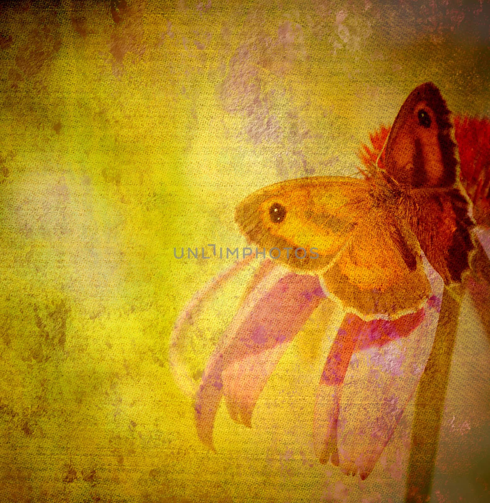 butterfly and flower vintage fabric texture background