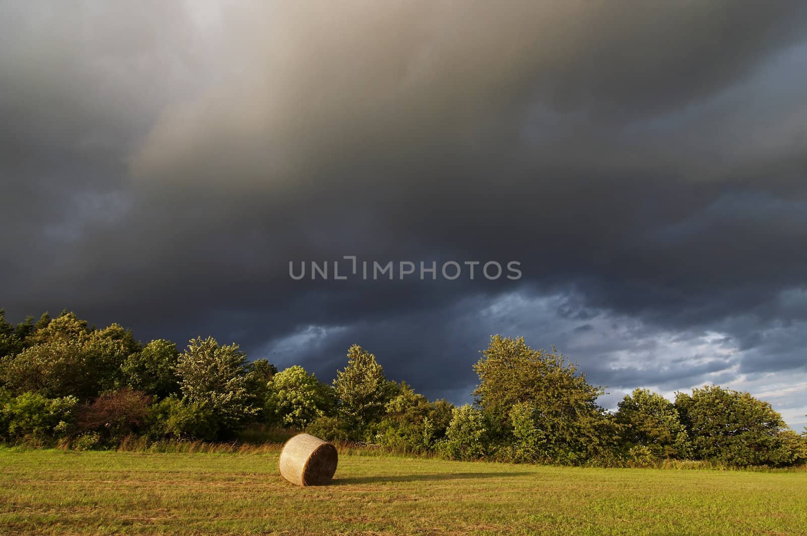 Shot of the summer landscape - fields and meadows - overcast