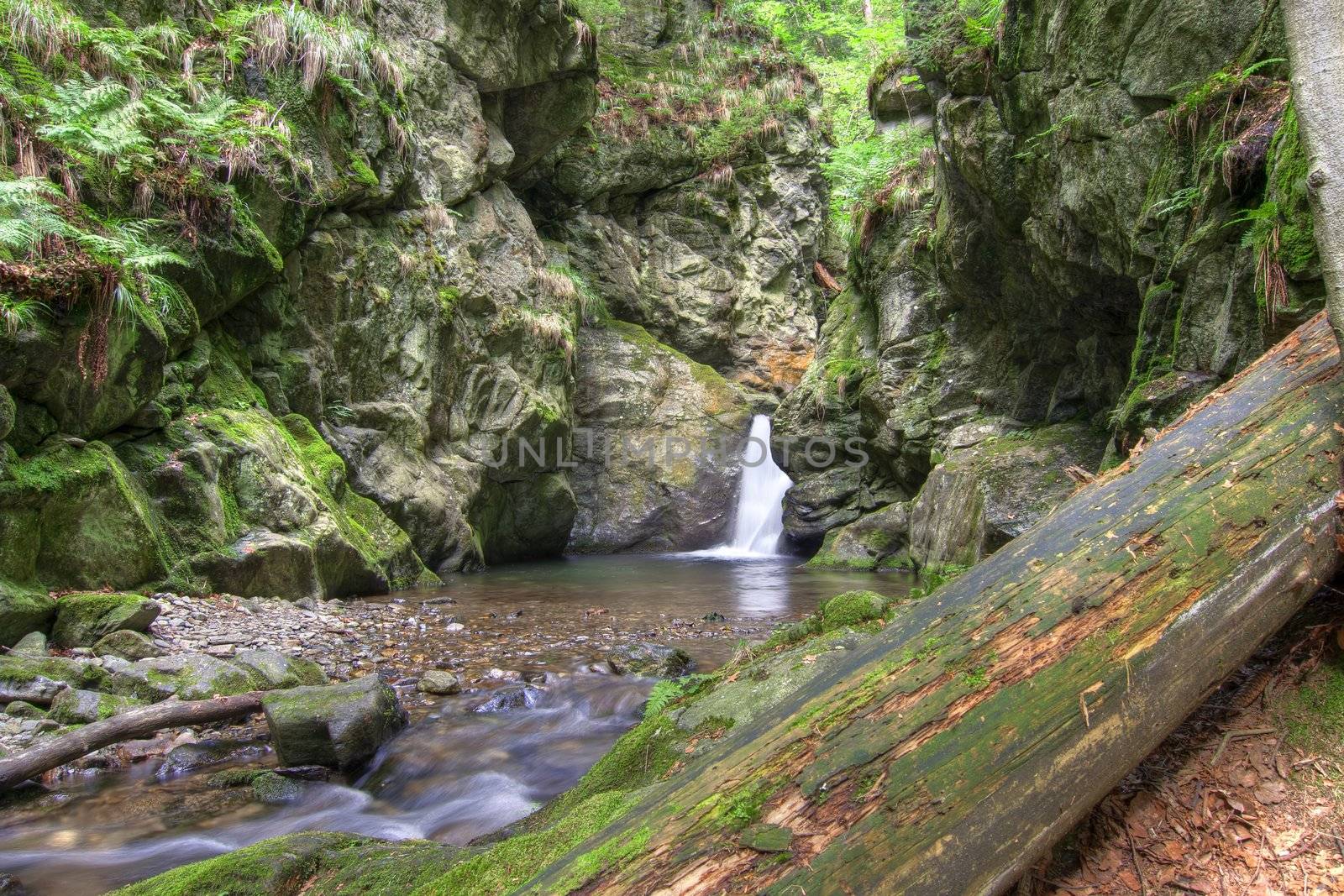 Shot of the Nyznerov waterfalls - Silver brook, Czech republic.
Silver Creek Falls, also Nyznerov waterfalls lies in the village of Upper Skorosice to 12 hectares. It is a canyon gorge with rocky thresholds can generate several waterfalls and cascades. Waterfalls are located 2 km southwest of village Nyznerov and 5 km west of Zulova city.
Waterfalls are made up of cascades and rapids in the romantic gorge Bucina brook above the mouth of the creek, with a total height of 14 meters. The highest grades are 3 meters high.