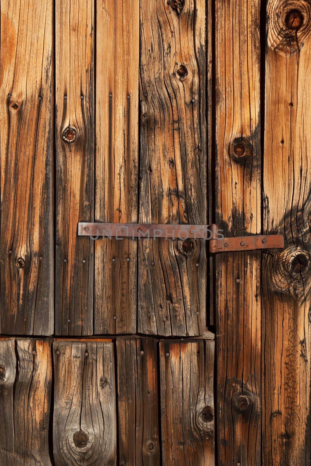 Natural wood warm brown texture; old locker