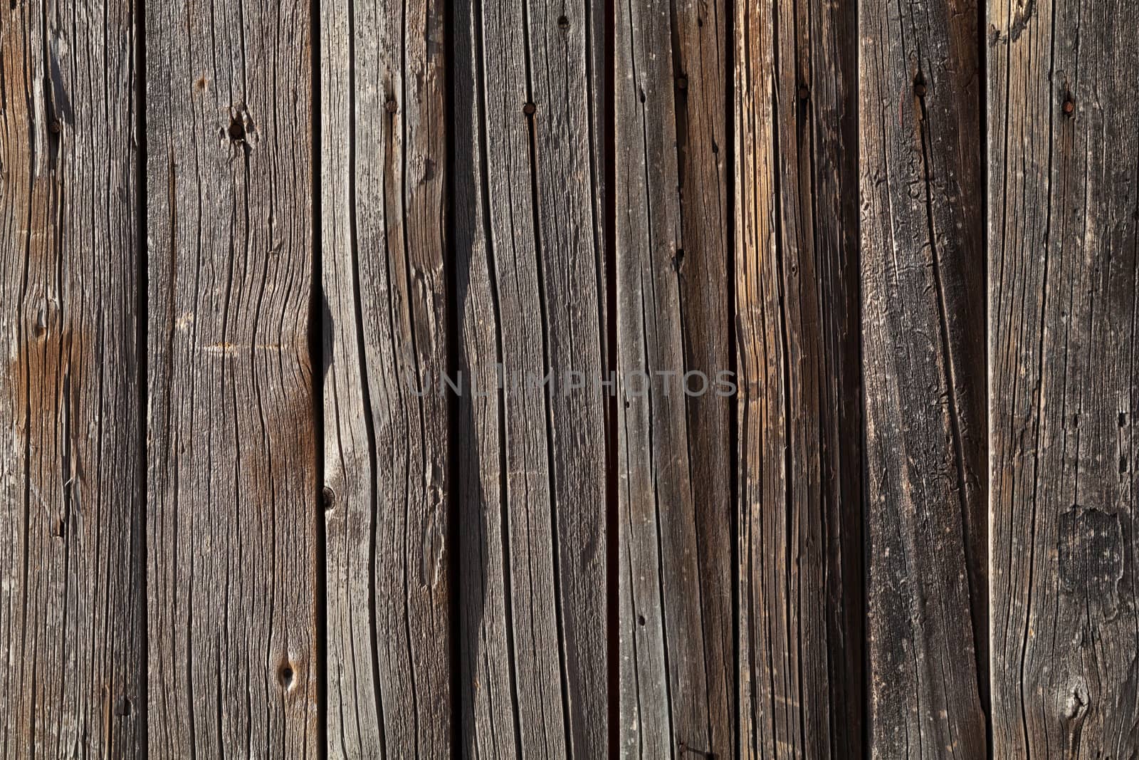 Natural wood warm grey texture