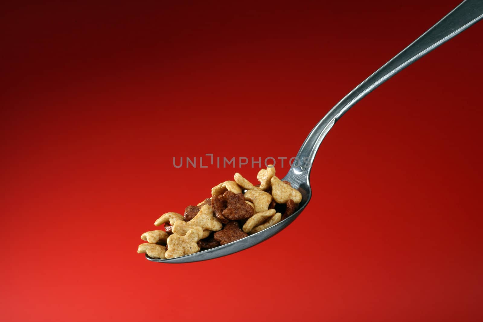 Close up of spoon filled with cornflakes 