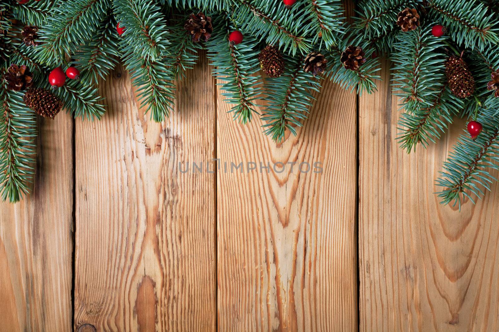 Branches of pine wood with cones and briar on wood background. Copy space