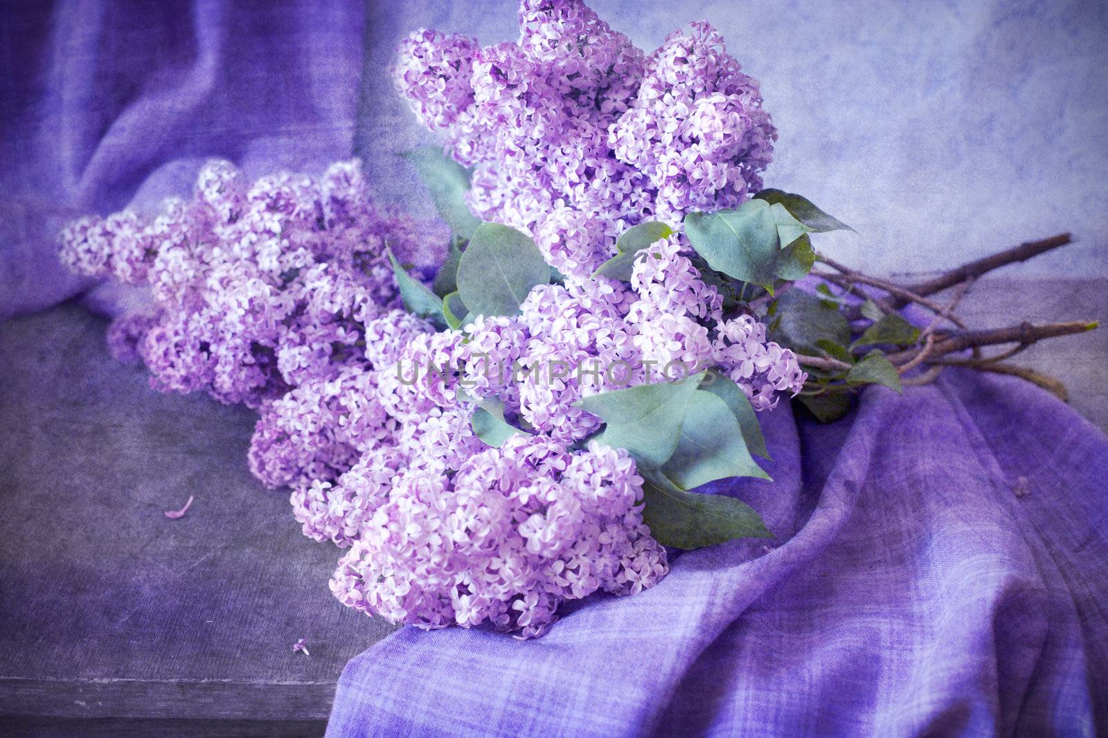 bouquet of lilacs on the table by anelina