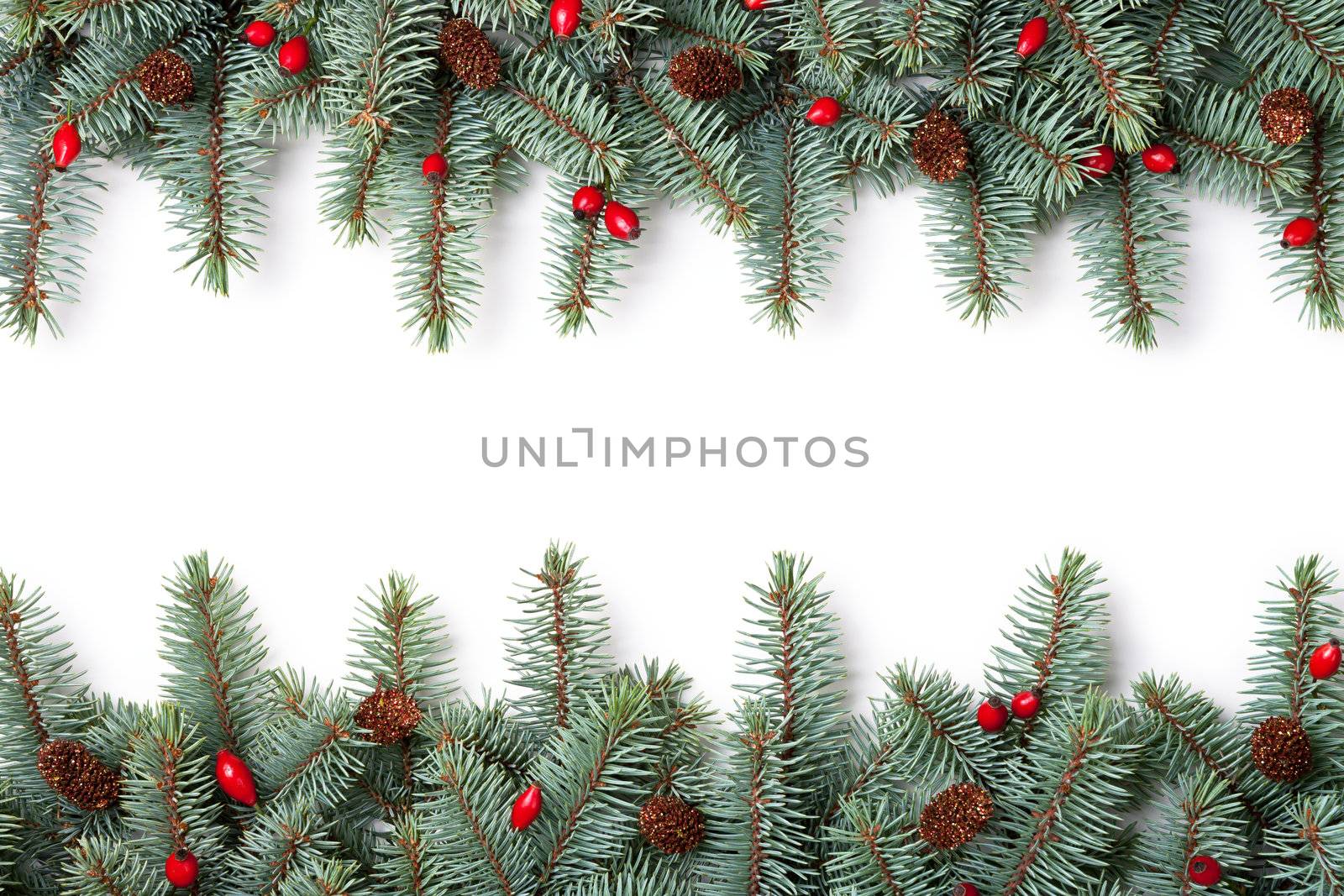 Branches of silver spruce with plastic cones and natural briar on white background