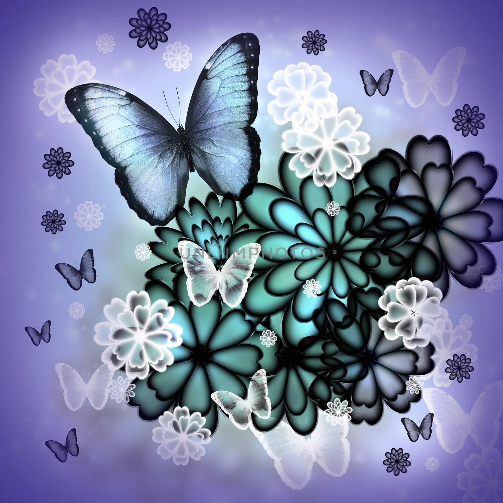 Butterflies and blossoms purple colored illustration 