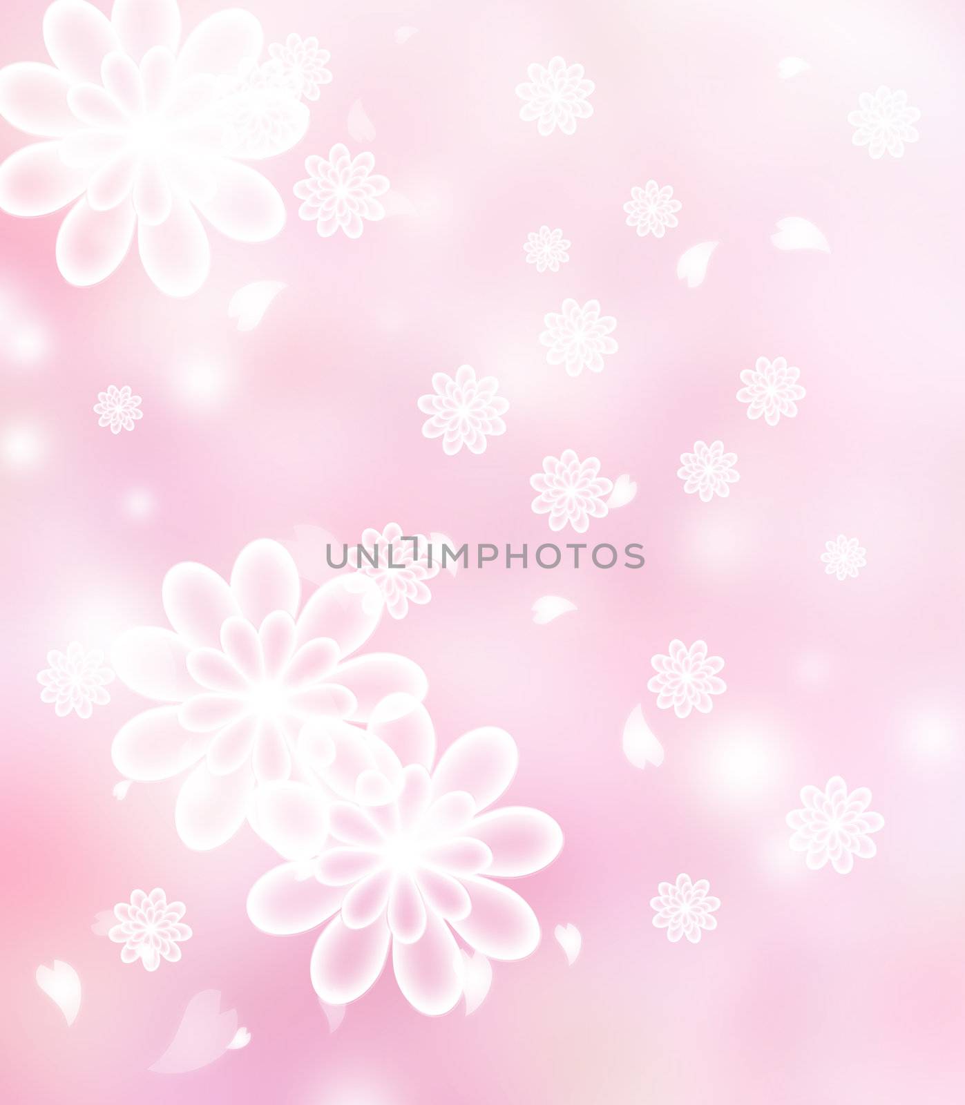 Chrysanthemum Blossoms pastel pink illustration