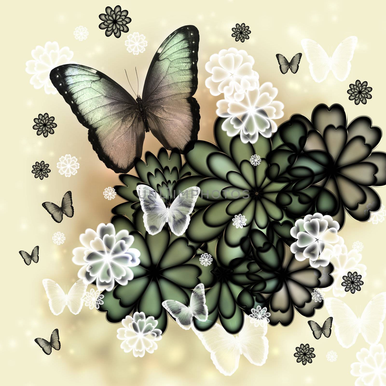 Butterflies and blossoms tinted illustration