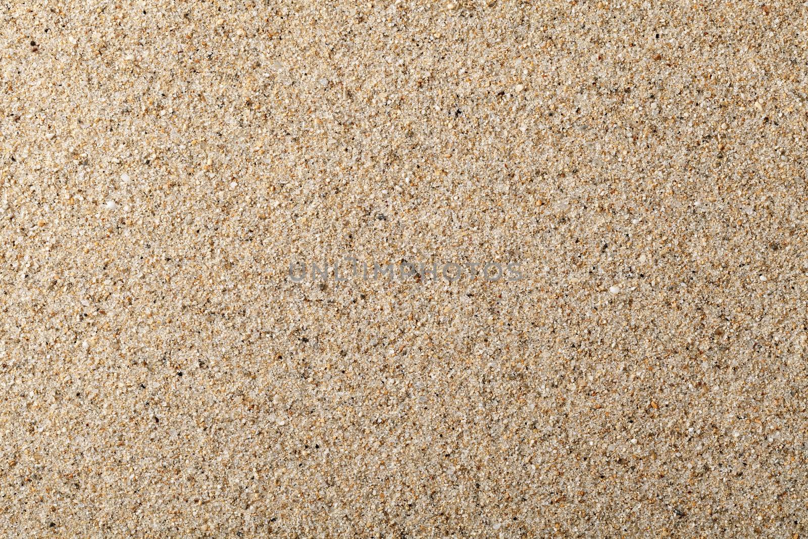 Sand texture for background. Close up, top view