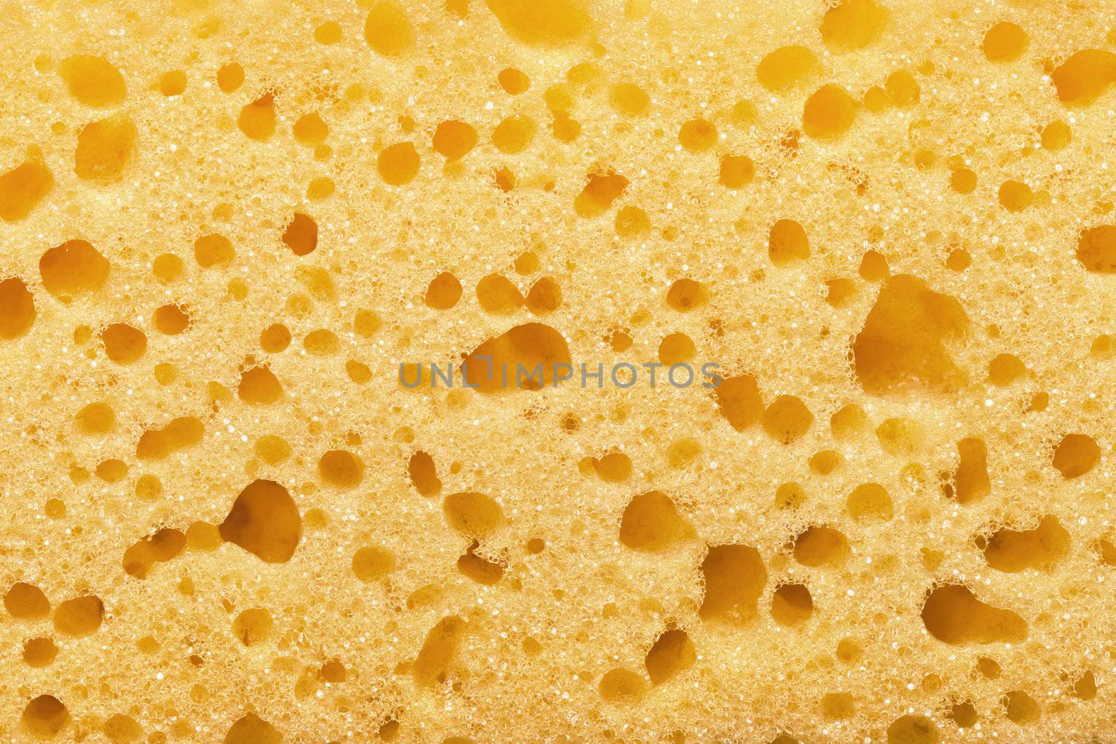 Yellow sponge texture for background. Close up