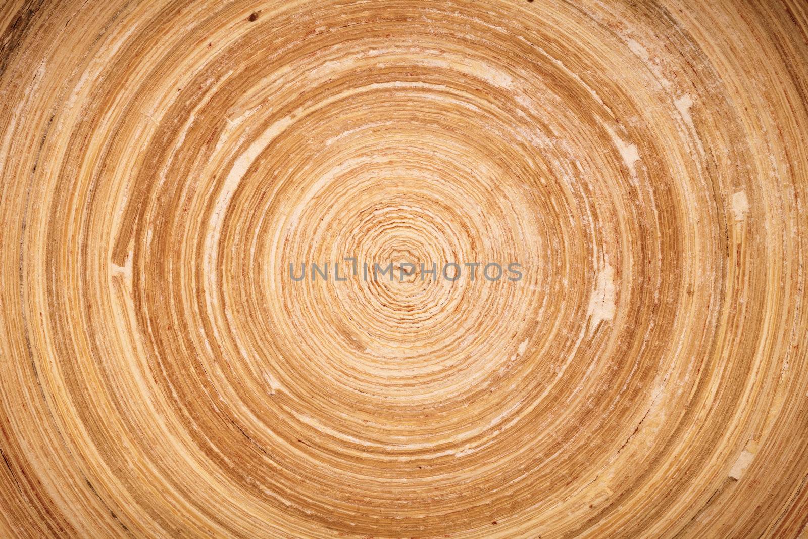 Circular bamboo texture for background. Top view 