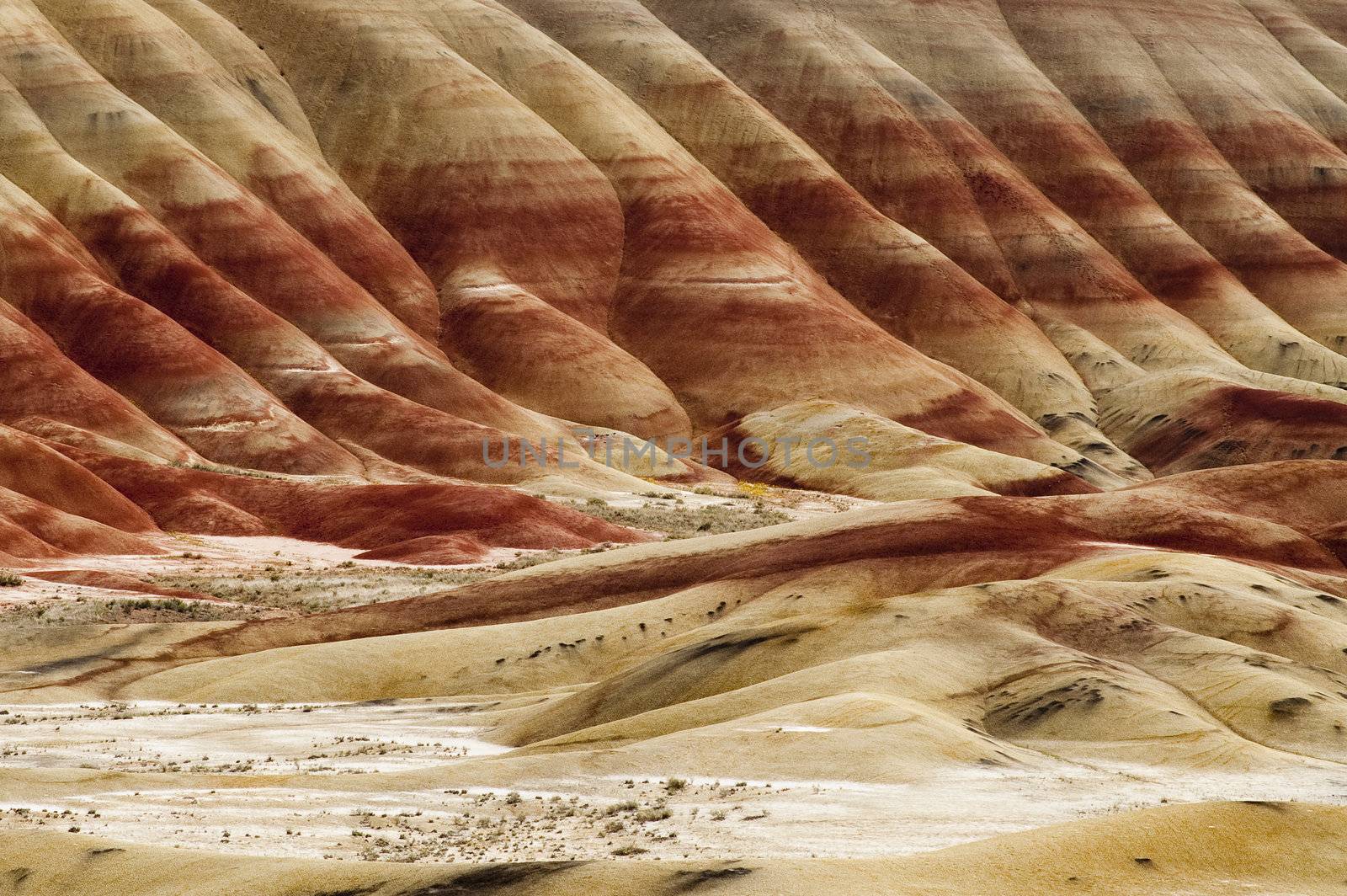 A Tight Shot of The Geology in Painted Hills Oregon State USA North America