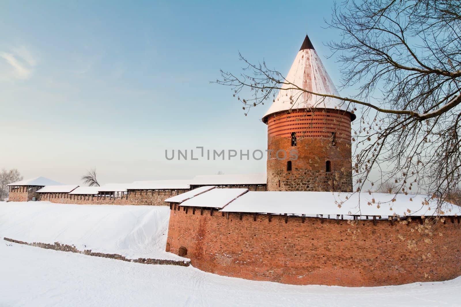 Castle of Kaunas