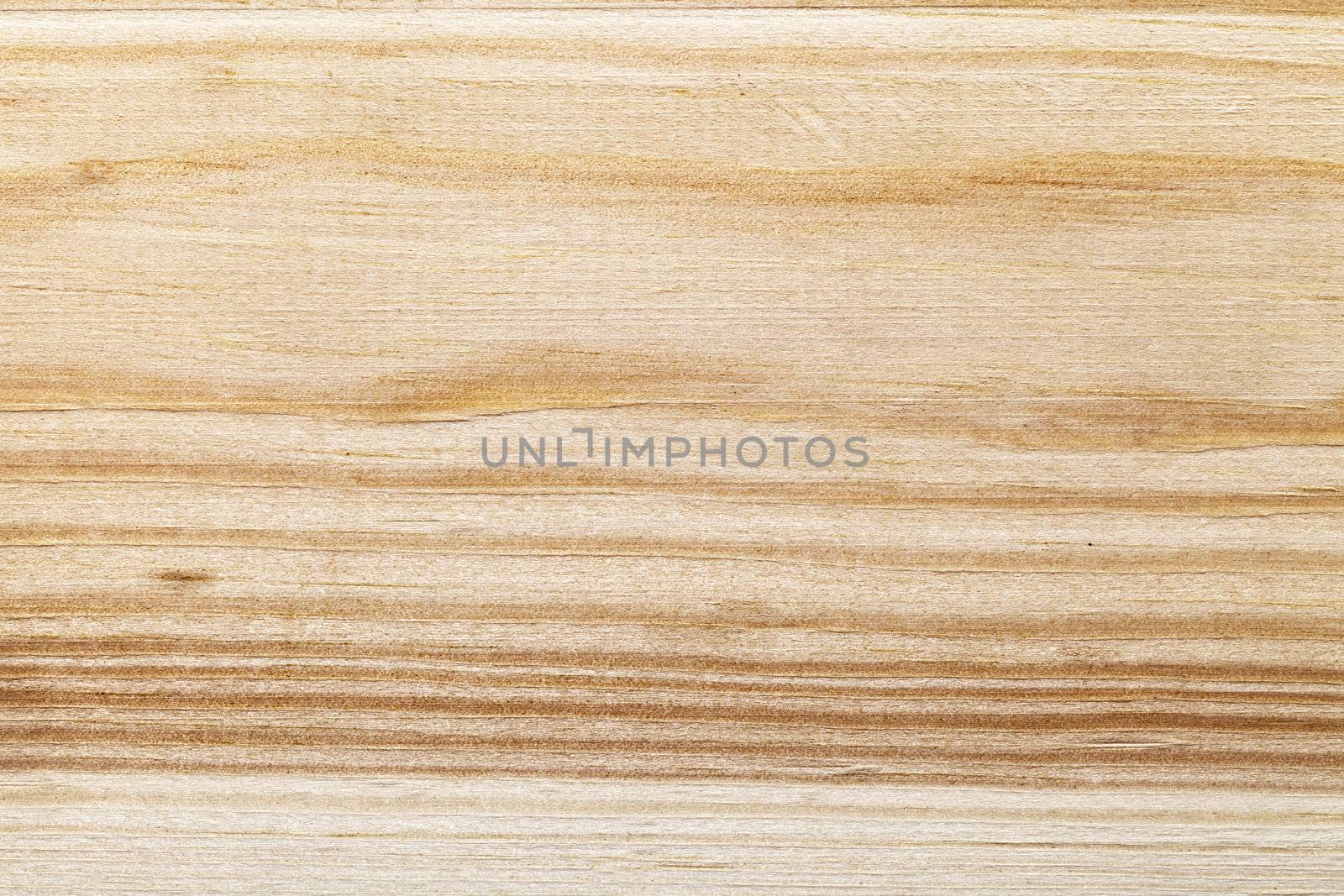 Background of brown wood texture. Close up shot