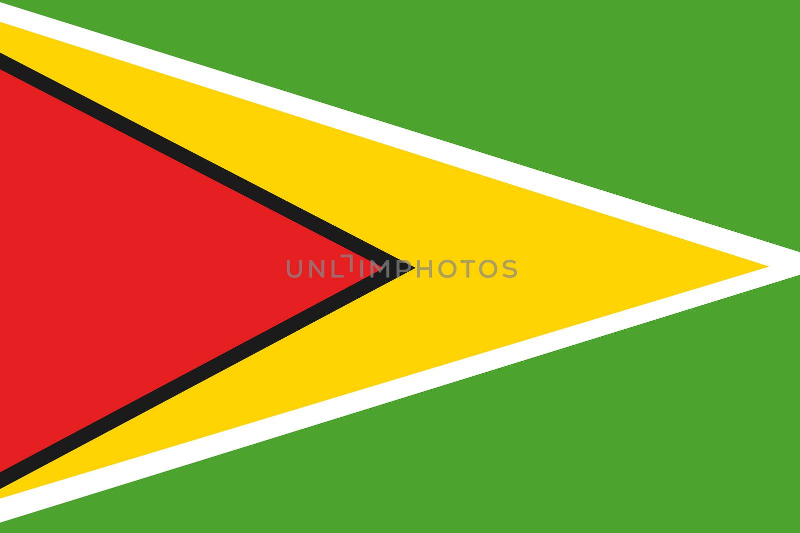 Illustrated Drawing of the flag of Guyana by DragonEyeMedia
