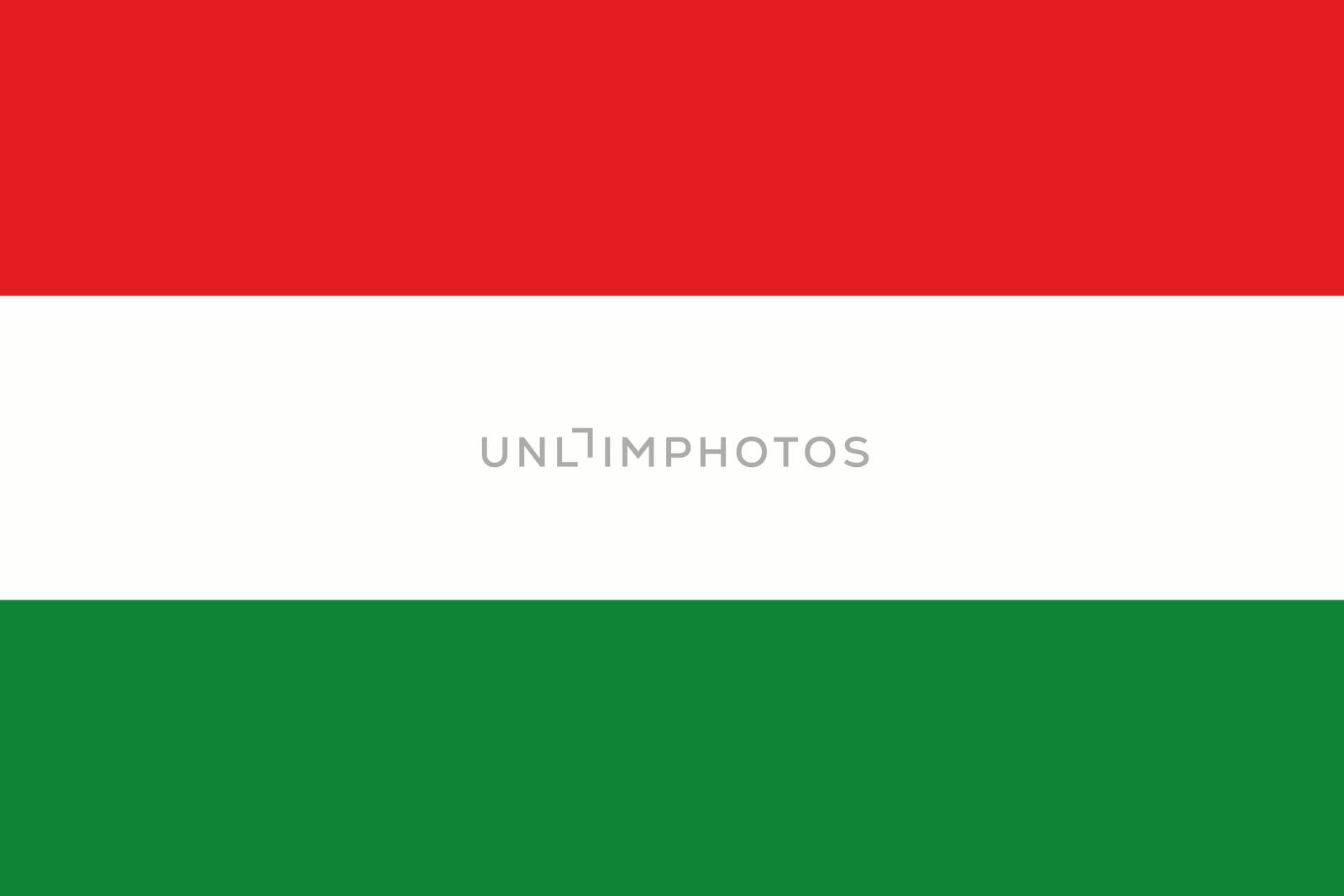 Illustrated Drawing of the flag of Hungary by DragonEyeMedia