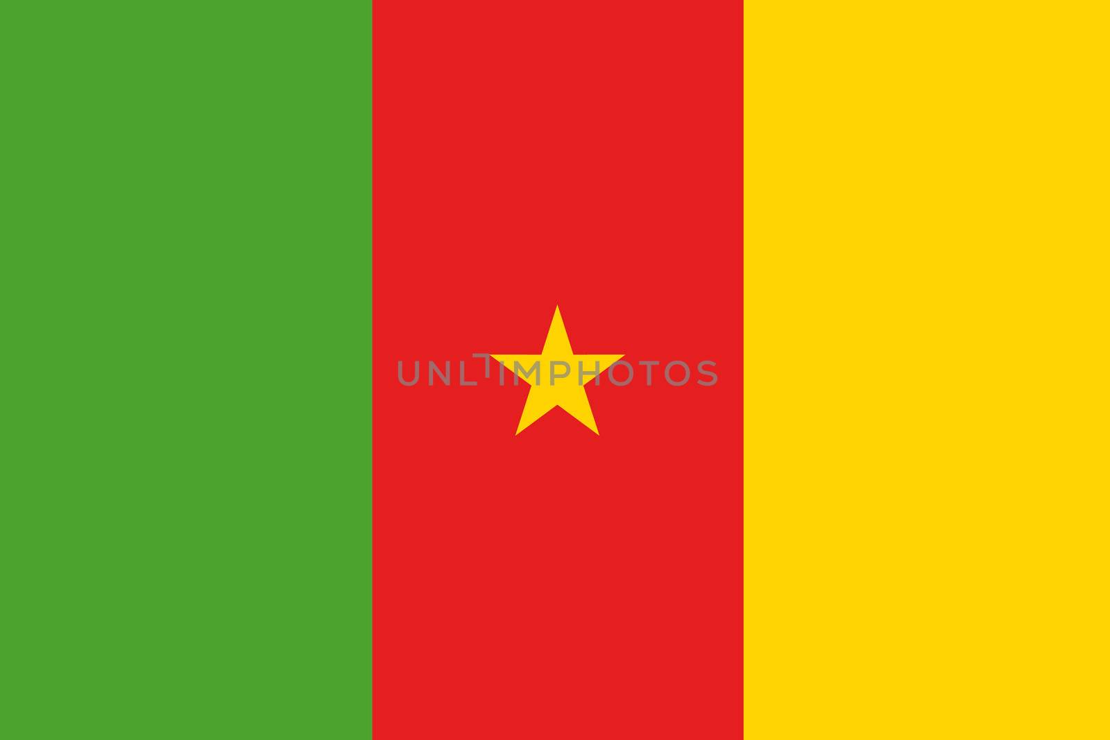 An illustration of the flag of Cameroon