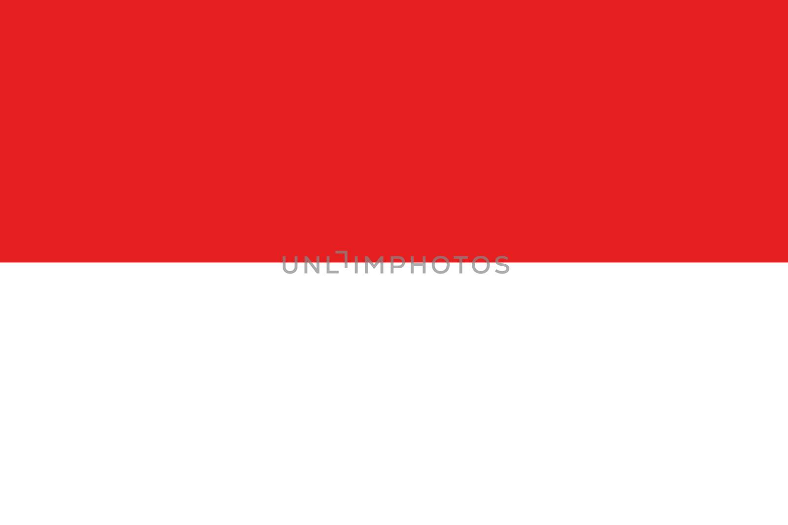 Illustrated Drawing of the flag of Indonesia by DragonEyeMedia