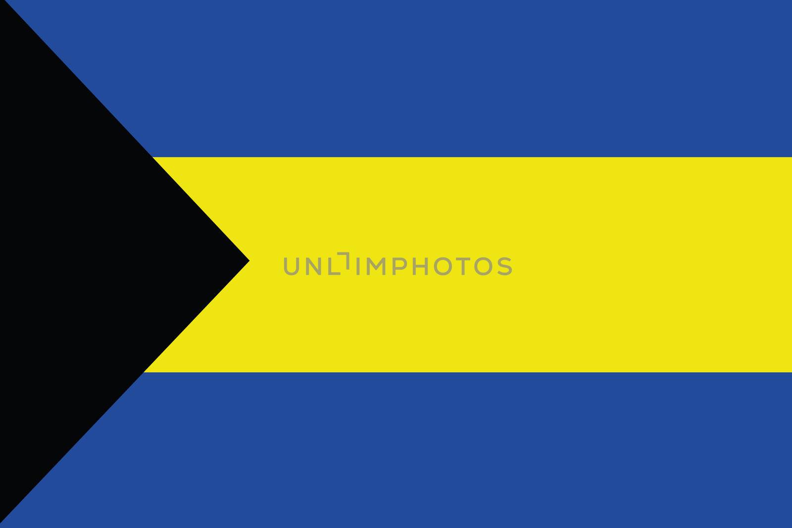 An illustration of the flag of Bahamas