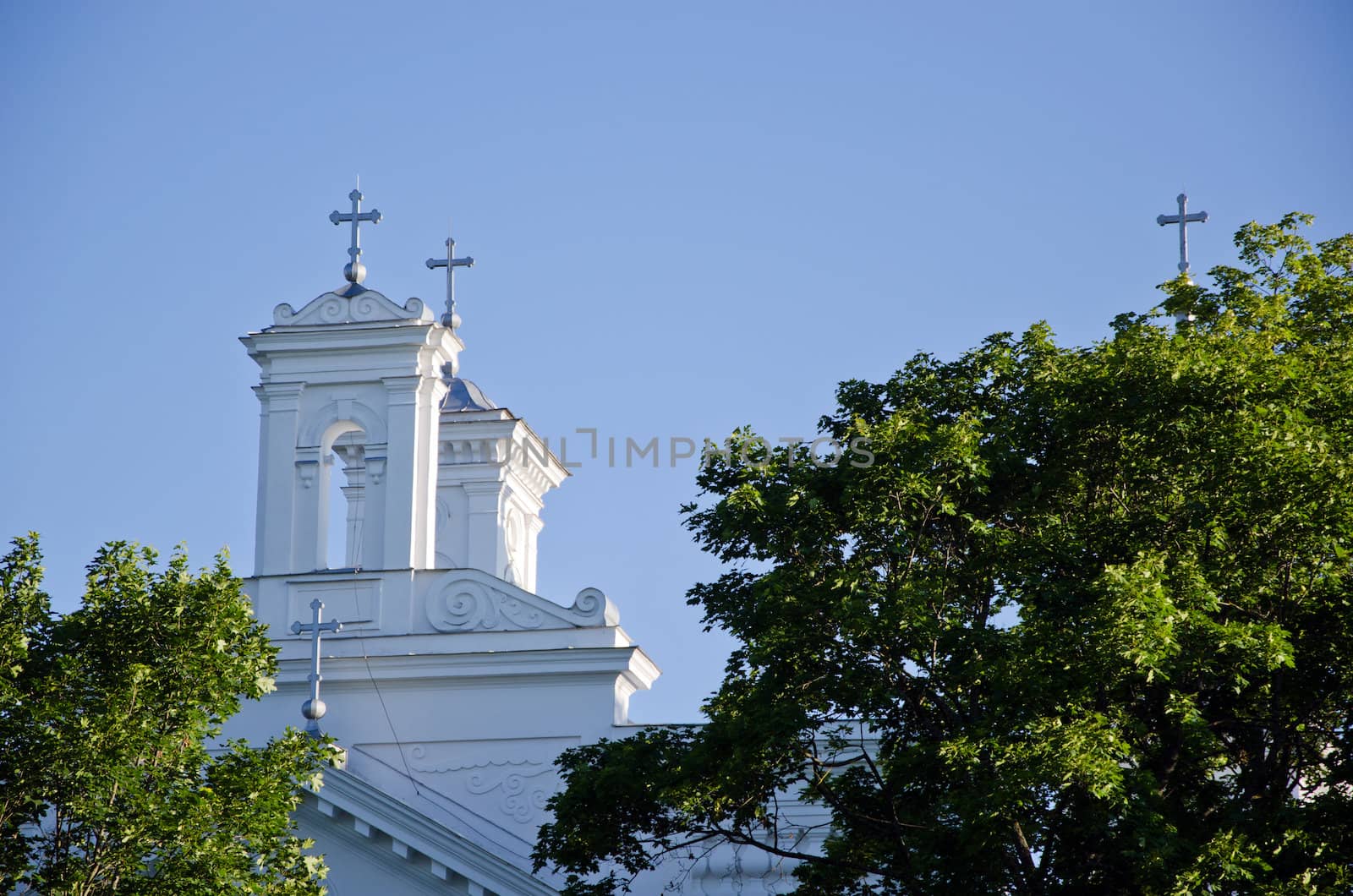 Church towers and cross visible through tree branches on background of blue sky. Religious catholic view.