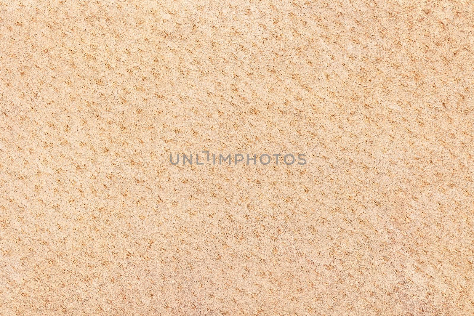 Beige leather texture or background. Macro shot, top view