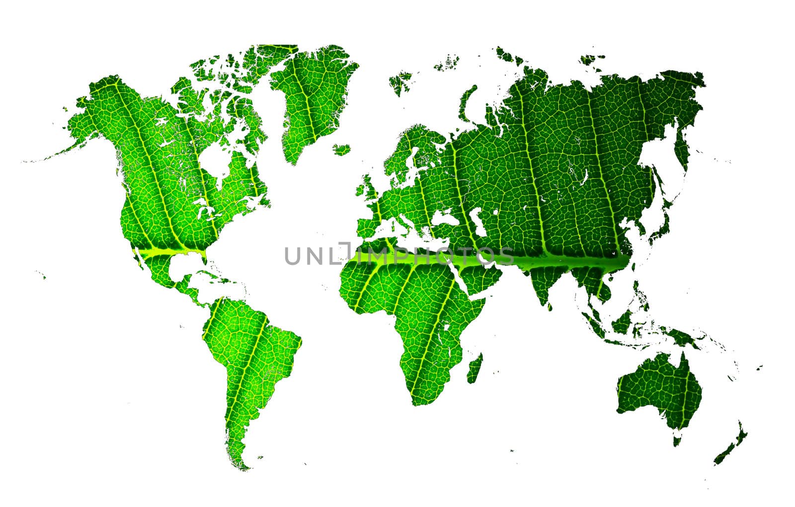 world map with leaf texture