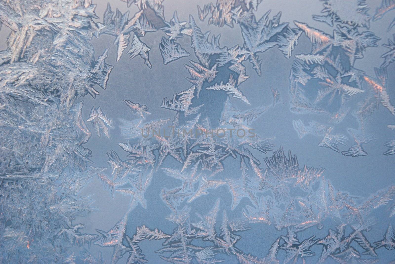  Ice on window,winter icy patterns,icy drawings