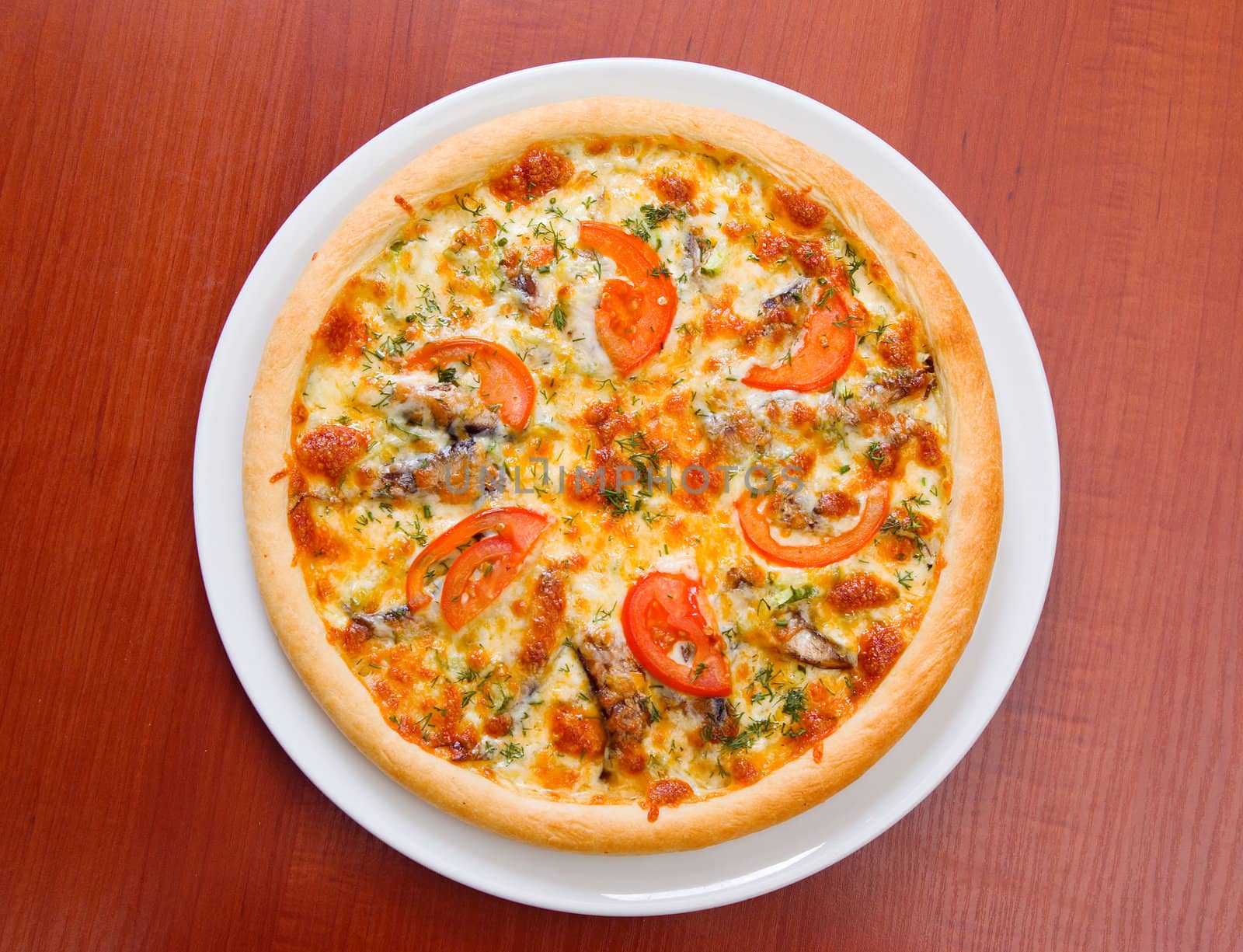 Pizza and italian kitchen. Studio. Isolated on white background. 