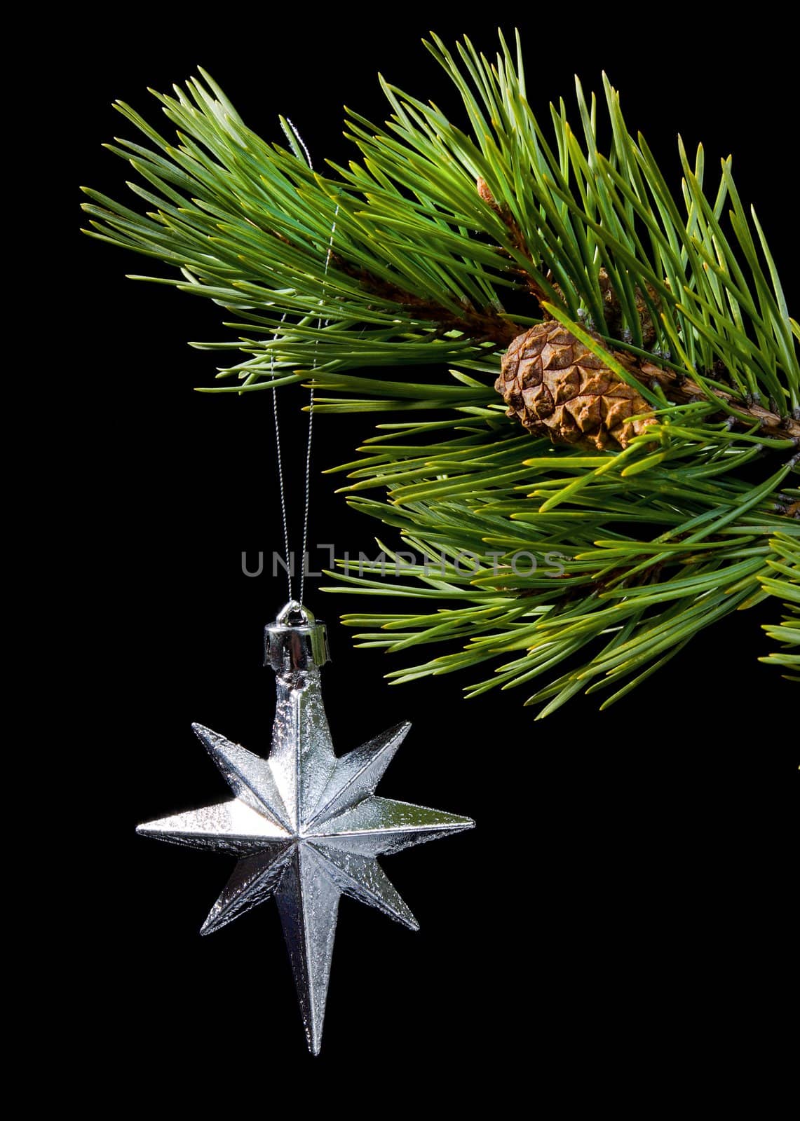 silver star,asterisk cristmas by Fanfo